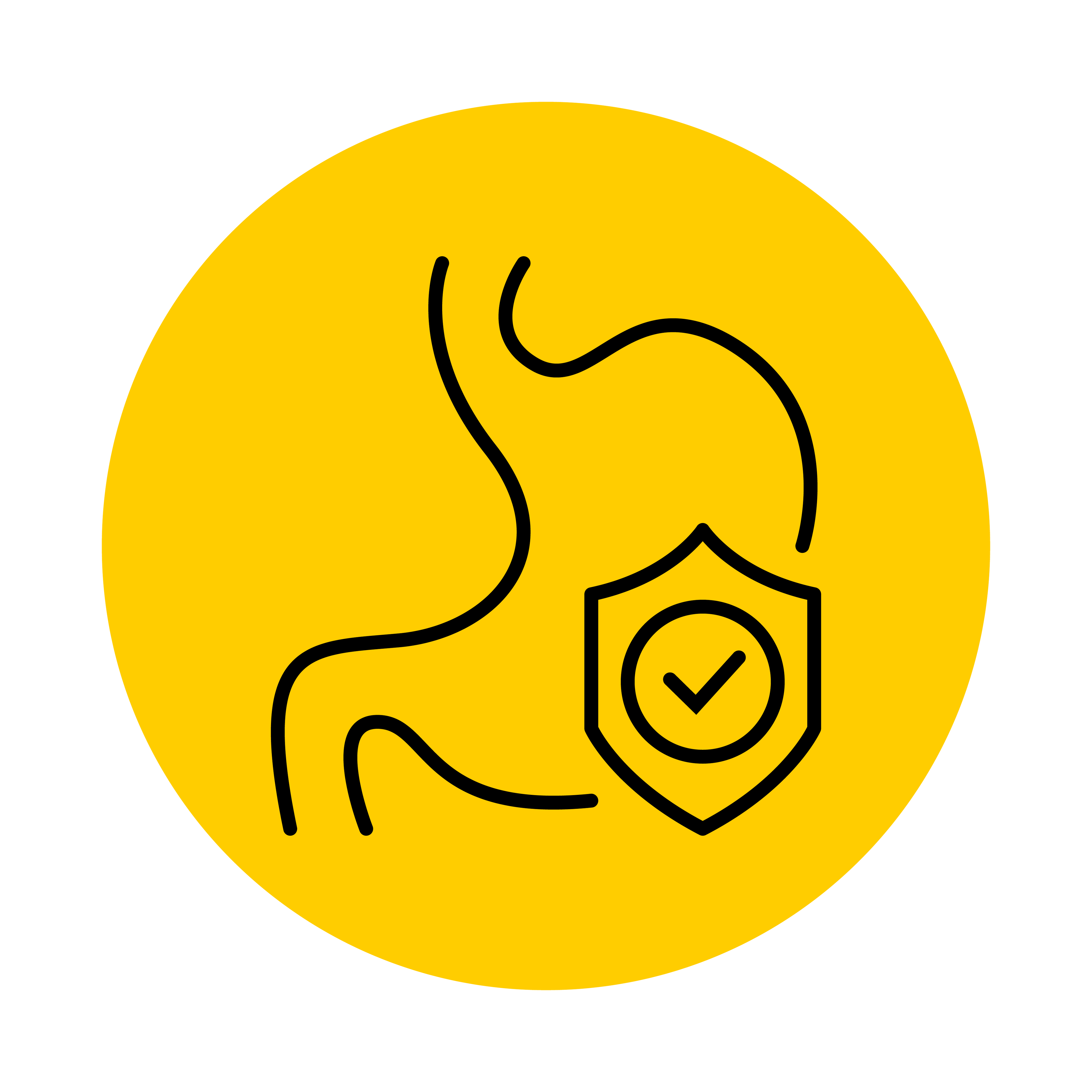 Gut Health